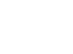 Lippu